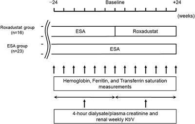 Effects of Roxadustat on the Anemia and Iron Metabolism of Patients Undergoing Peritoneal Dialysis